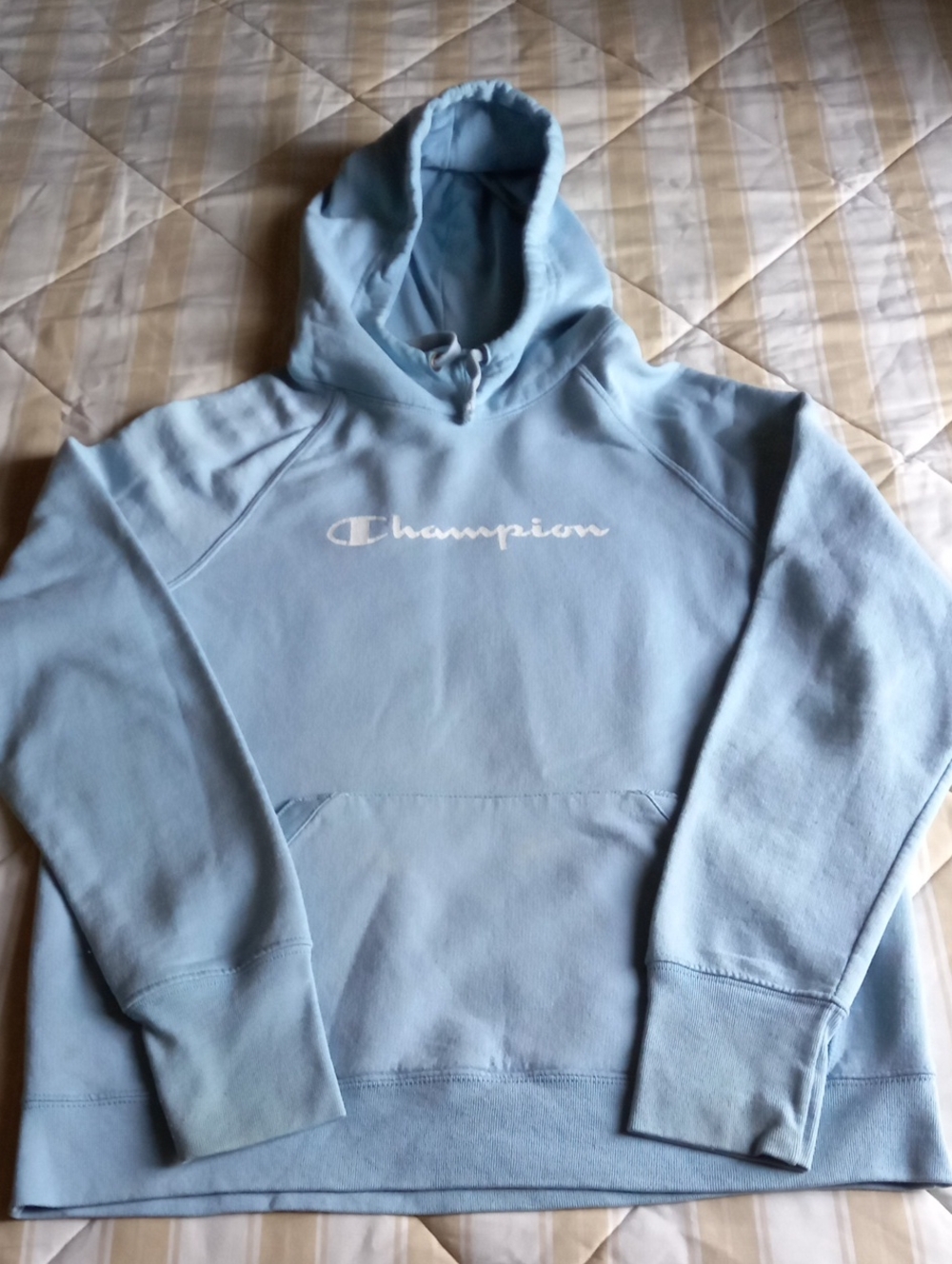 Baby Blue Champion Hoodie